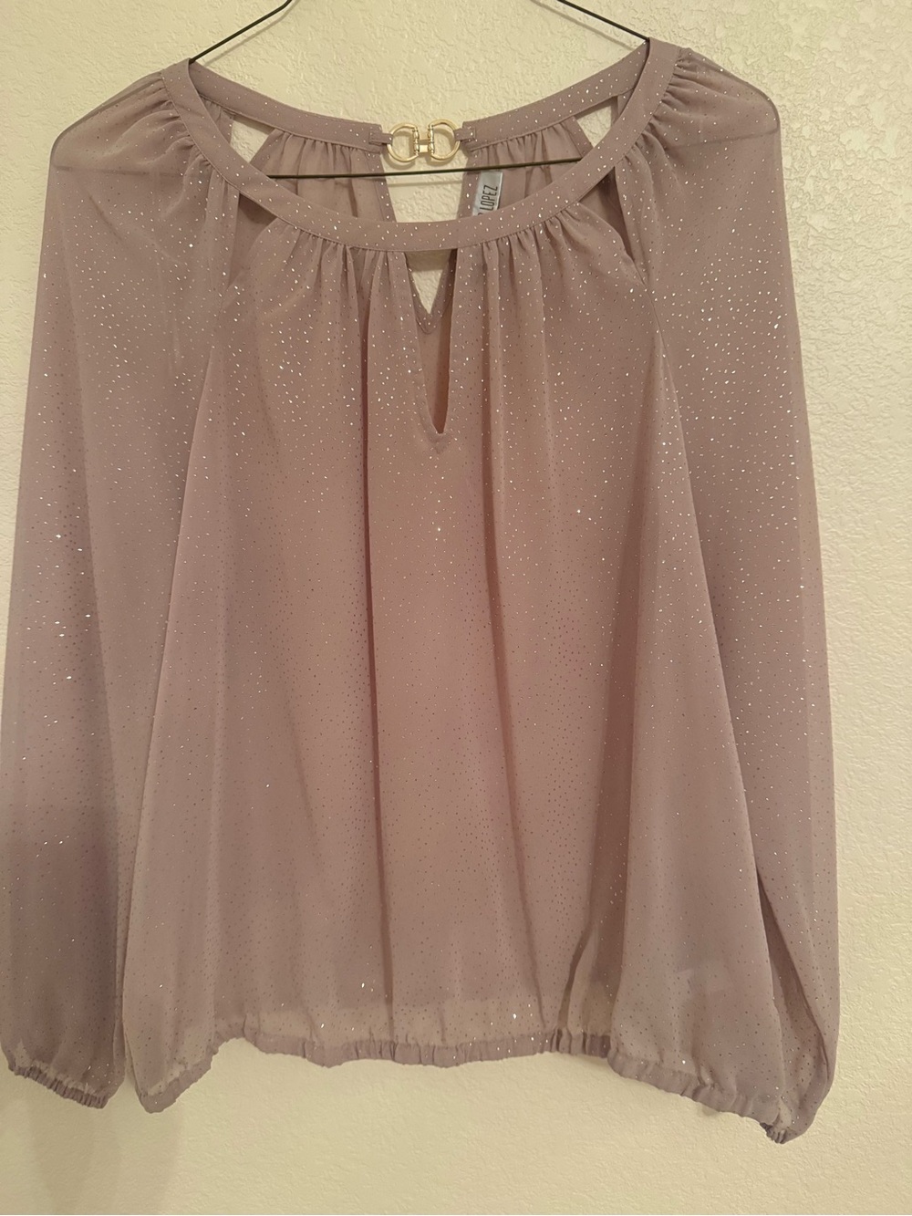 Jennifer Lopez Sparkle Sheer Blouse - Mauve